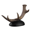 Suporte Para Vinho Rústico De Chifre